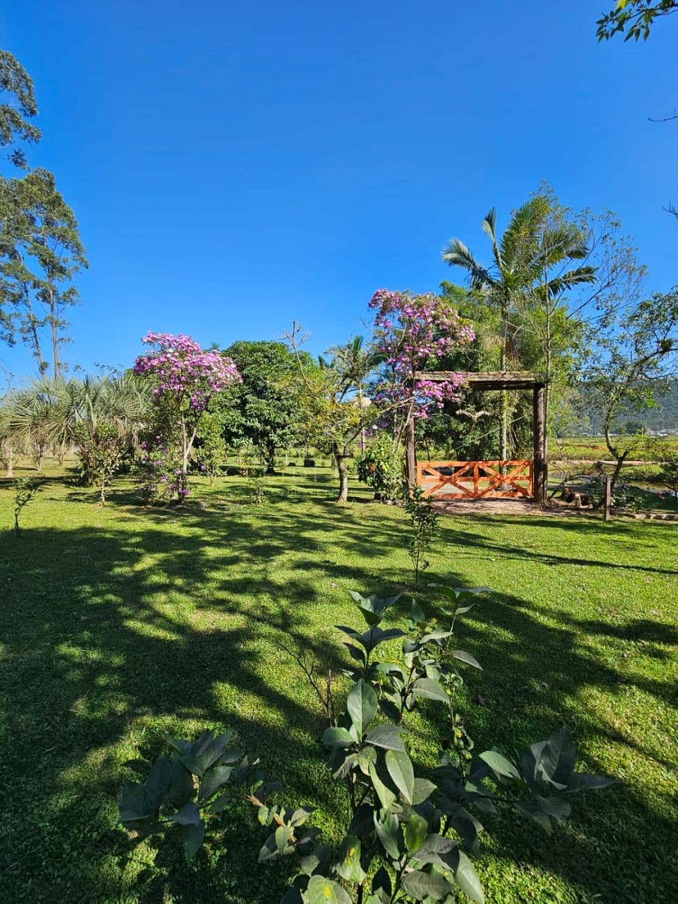 Sítio Luxuoso, Próximo à BR-470. — foto 1