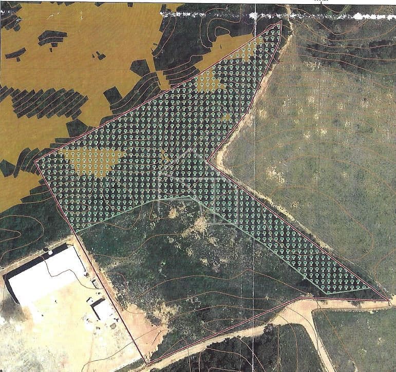 AREA 23.350 M2 NA SERRA — foto 1