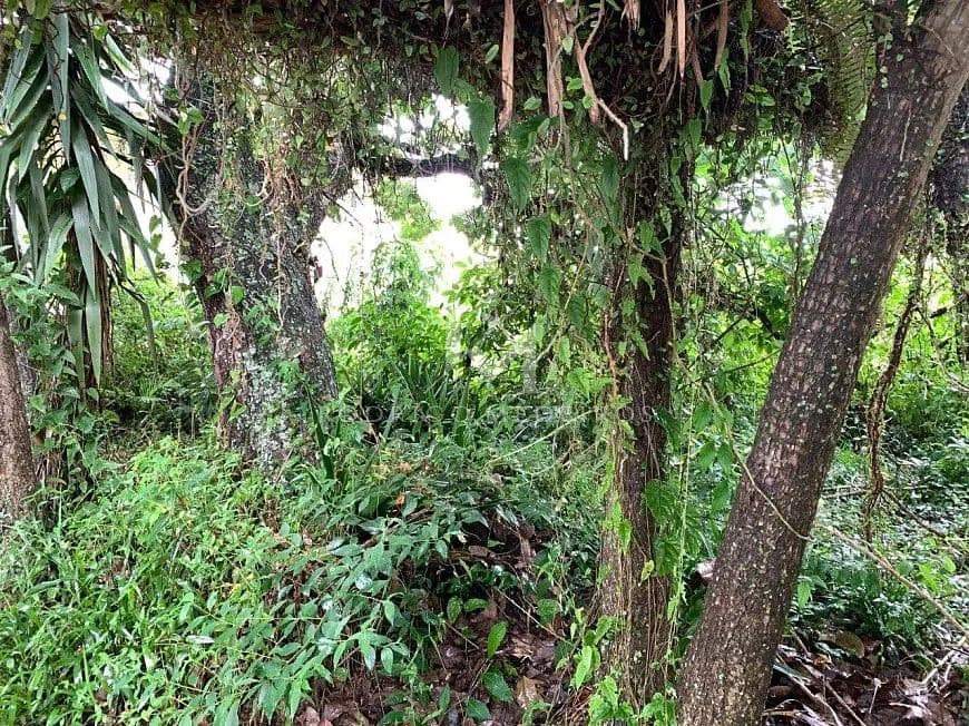 Terreno plano à venda em Jurerê Internacional, Florianópolis — foto 1