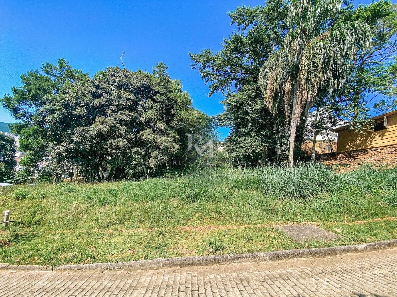 Terreno - Córrego Grande, Florianópolis/SC — foto 1